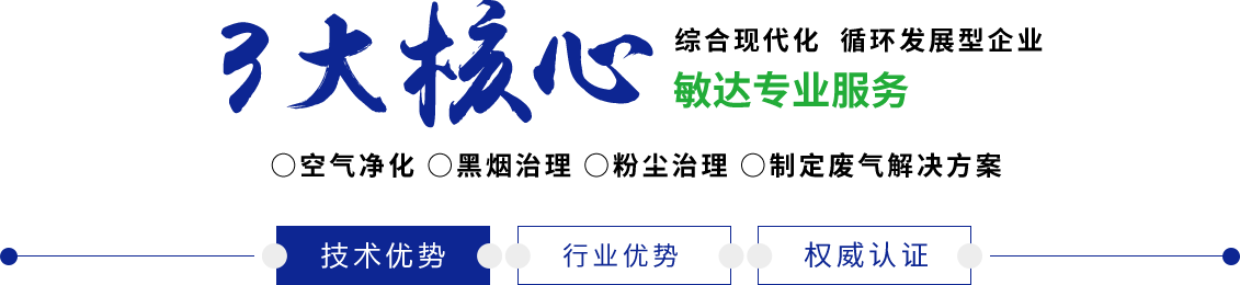 老头日逼视频免费看敏达环保科技（嘉兴）有限公司